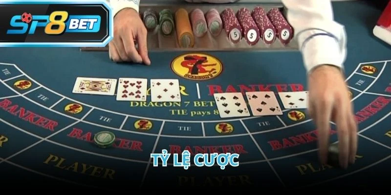 Tỷ lệ cược là yếu tố quan trọng ảnh hưởng trực tiếp đến chiến lược Baccarat