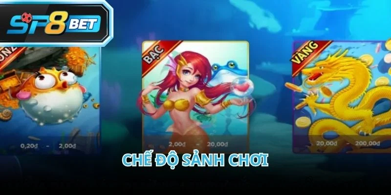 Hệ thống sảnh trong Bắn Cá Rồng được phân chia theo mức đạn và độ khó