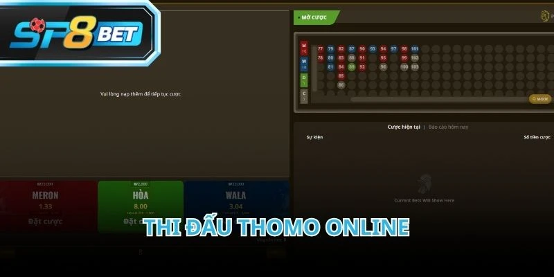 Đá gà thomo được phát sóng trực tiếp từ các trường đấu nổi tiếng