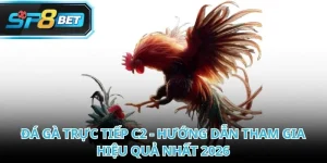 Đá Gà Trực Tiếp C2