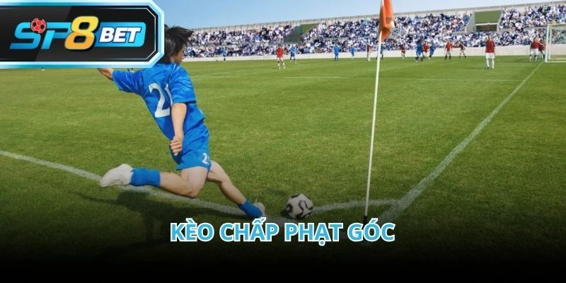 Kèo phạt góc chấp phù hợp với người có thói quen đọc trận kỹ càng